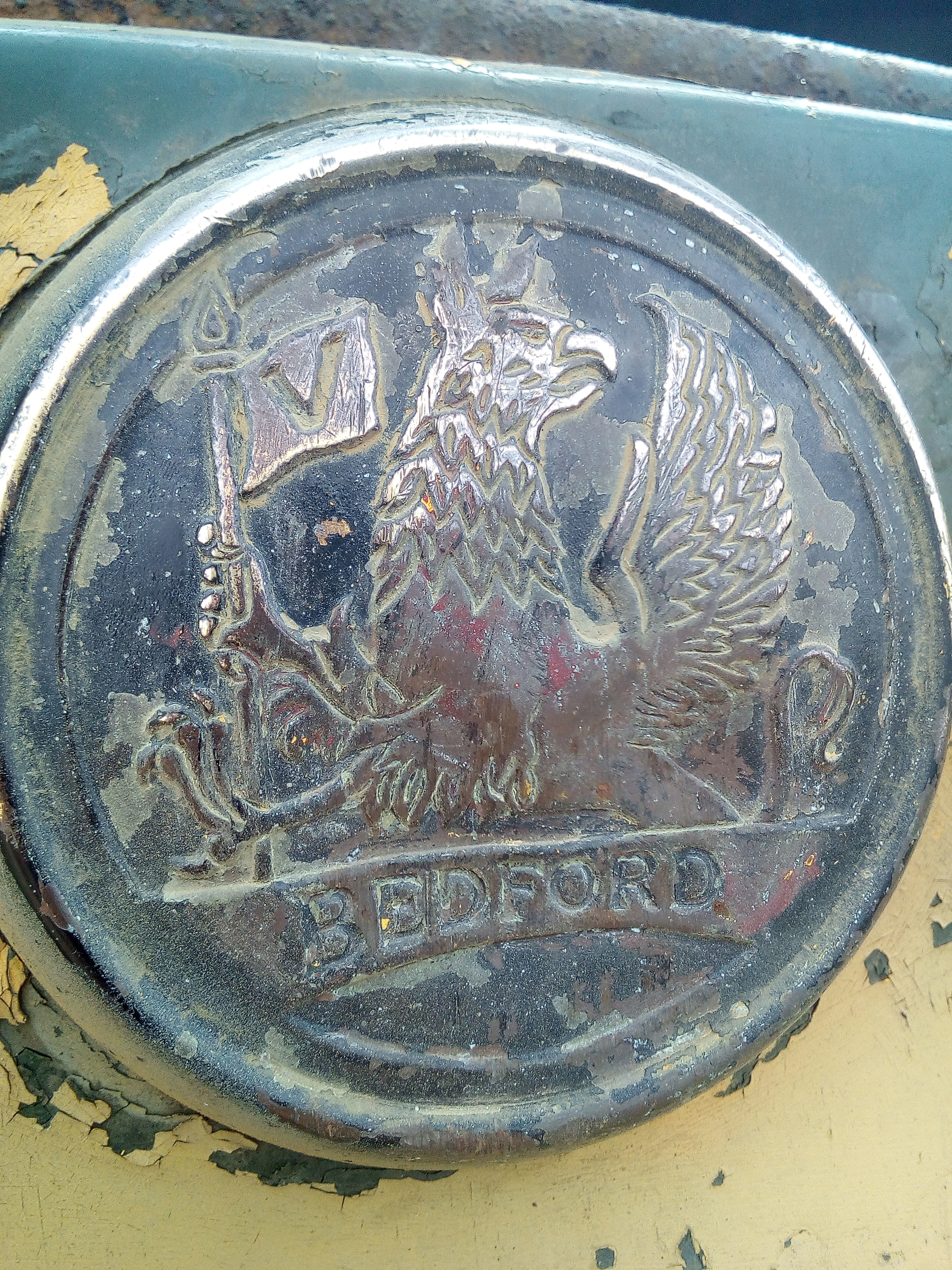 The Bedford's gryphon grille badge, very lightly polished up.