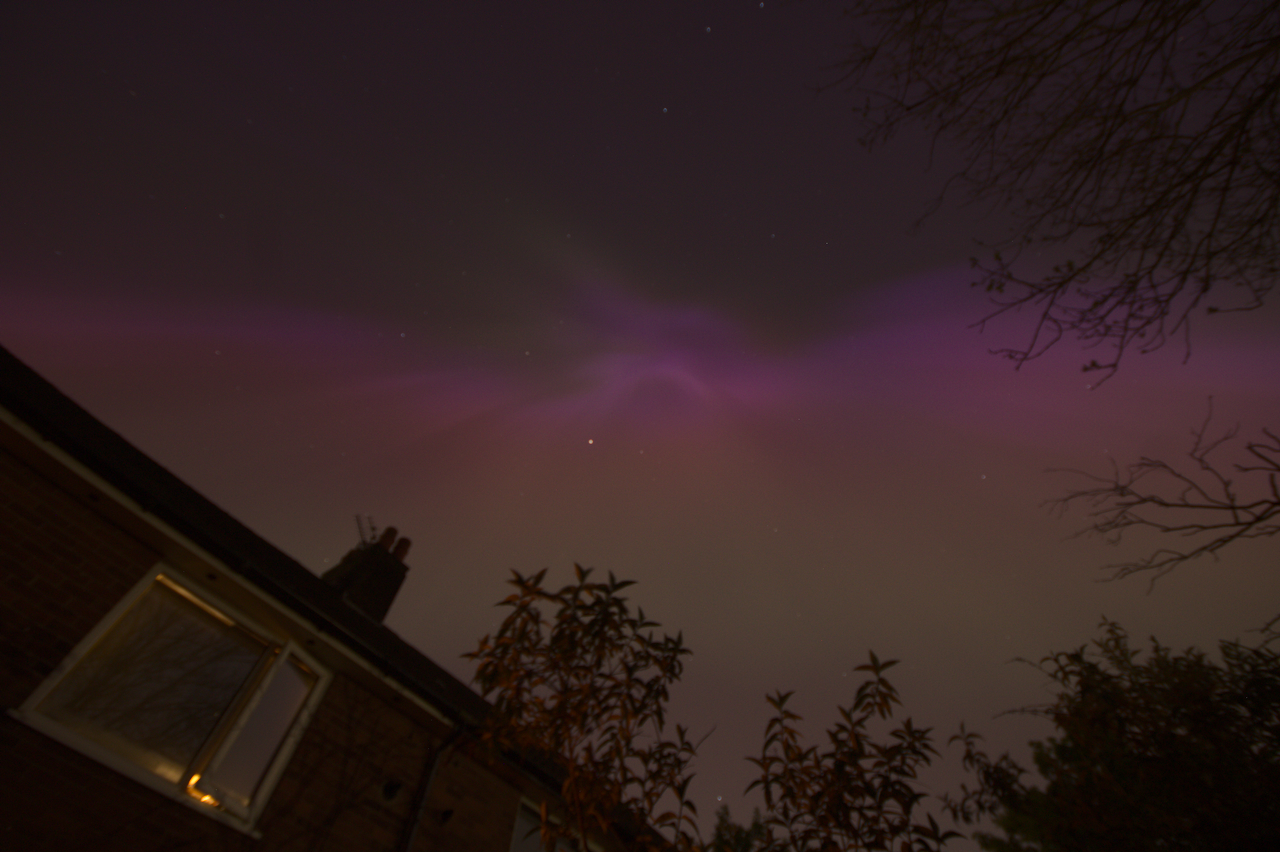 the aurora, looking almost like a bird with outstretched wings